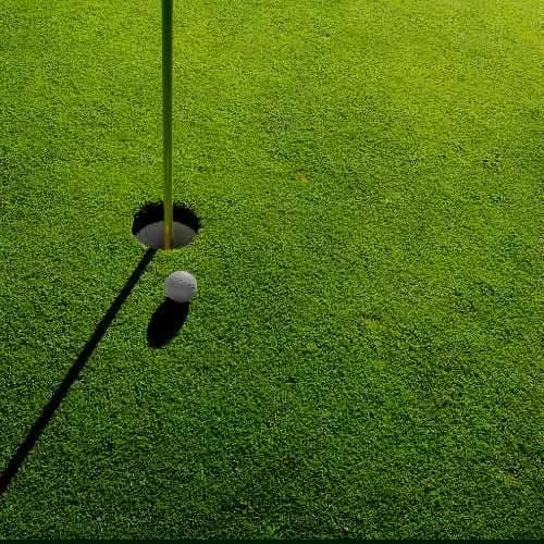 Verde y patios comerciales