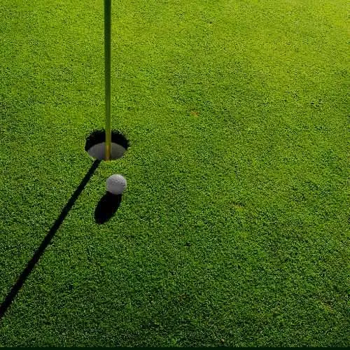 Verde y patios comerciales